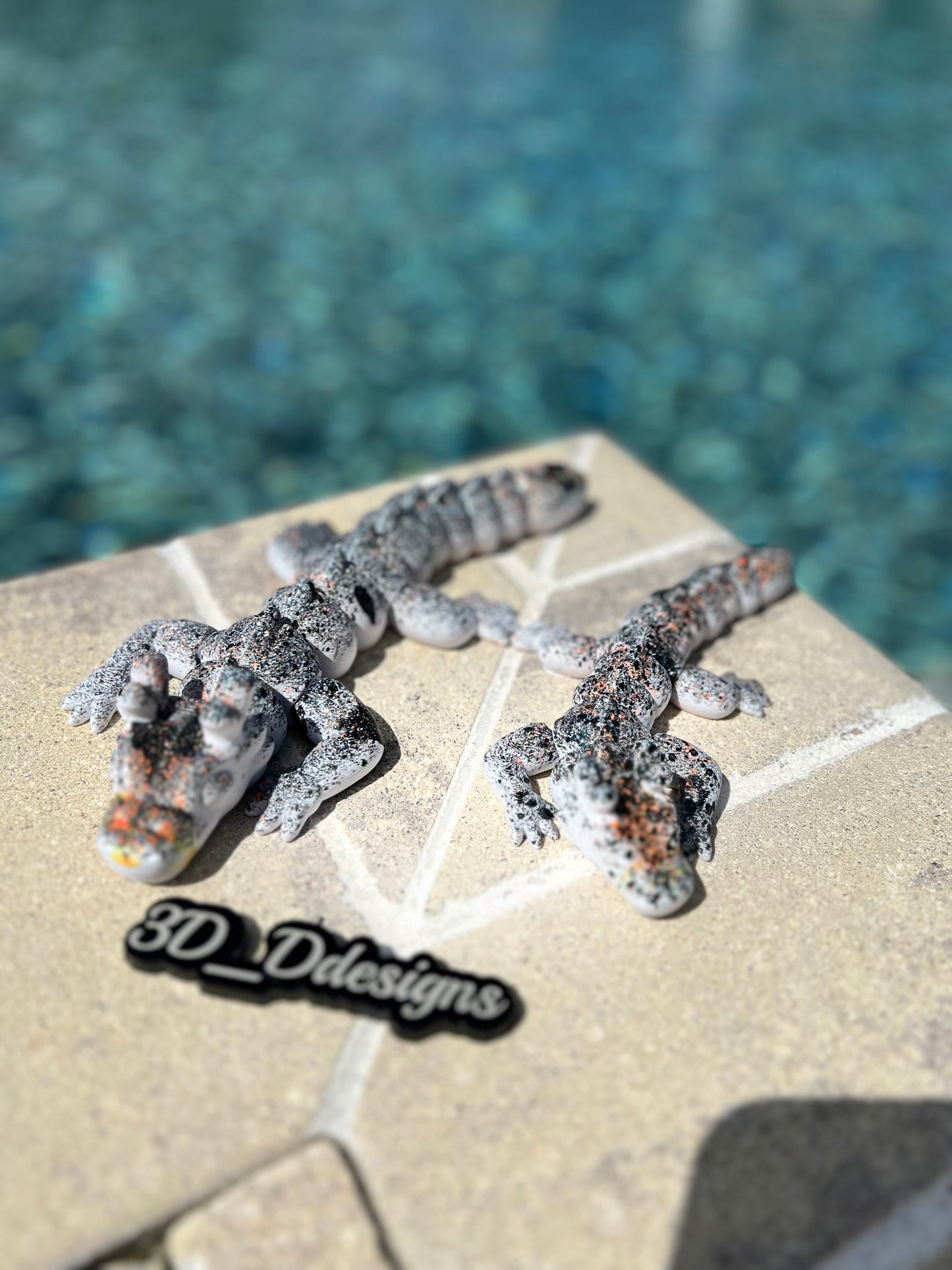 Zou Dragon